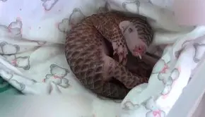 musique film sexe intentions