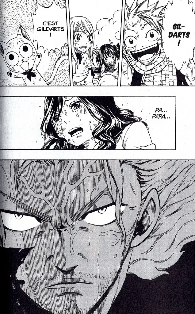 Fairy Tail Tome 28 Scan 2