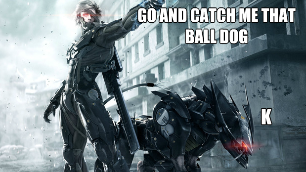 Metal Gear Rising meme
