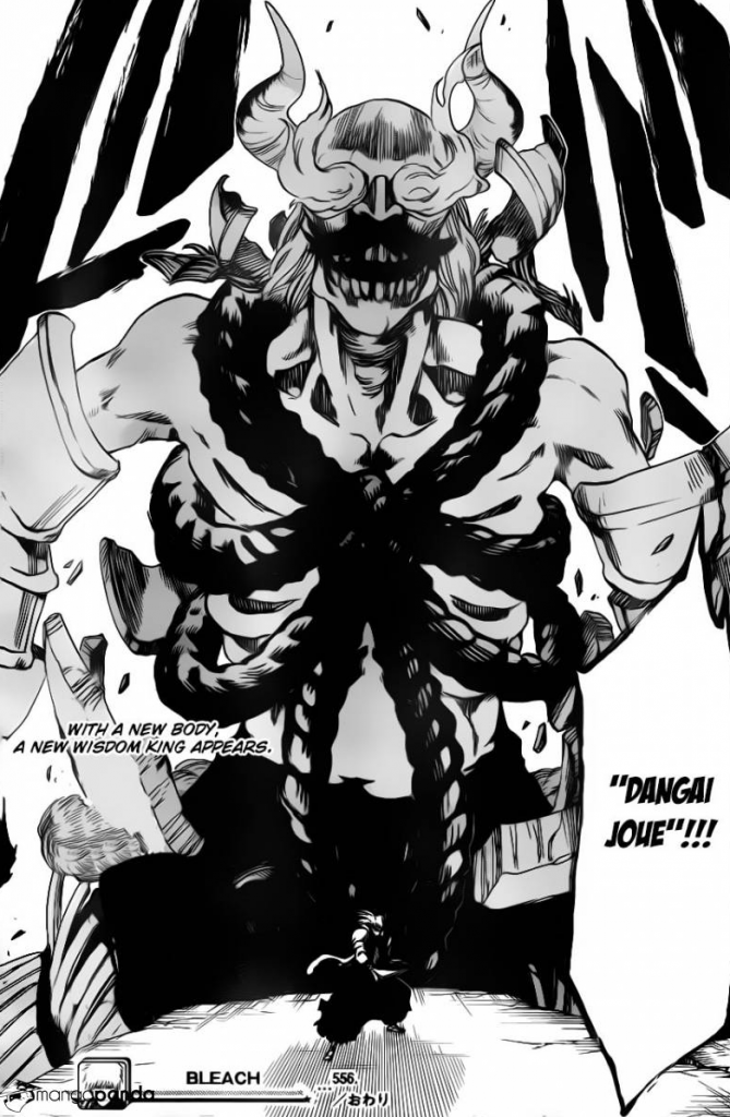 Bleach 556 (2)