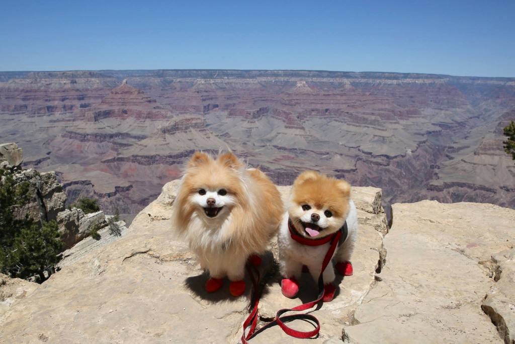 Boo-Buddy-Grand-Canyon