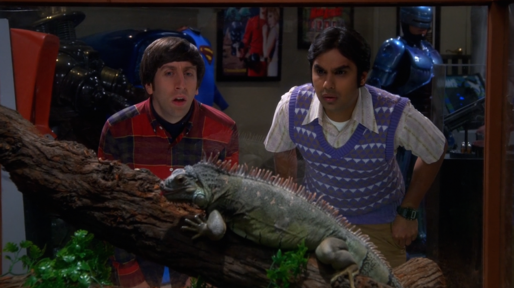 The Big Bang Theory Saison 8 Épisode 07-2