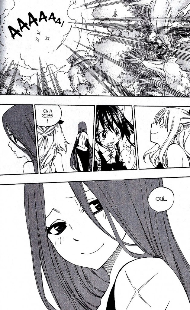 Fairy Tail Tome 41-2
