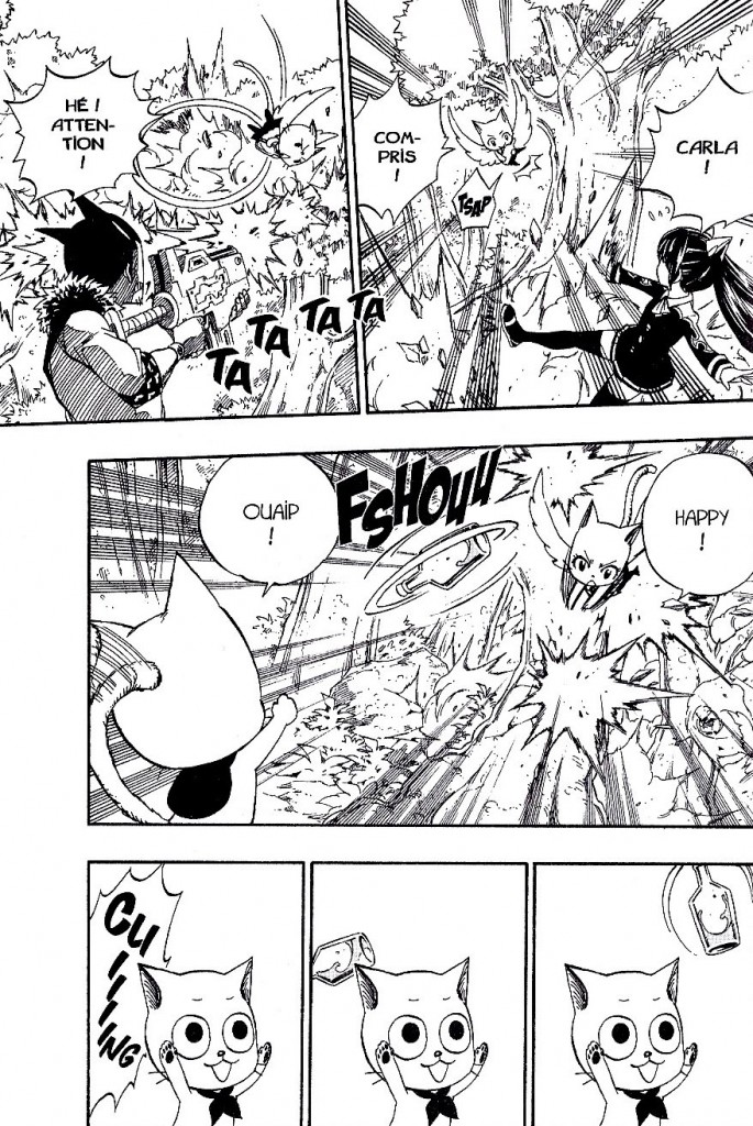 Fairy Tail Tome 41-4