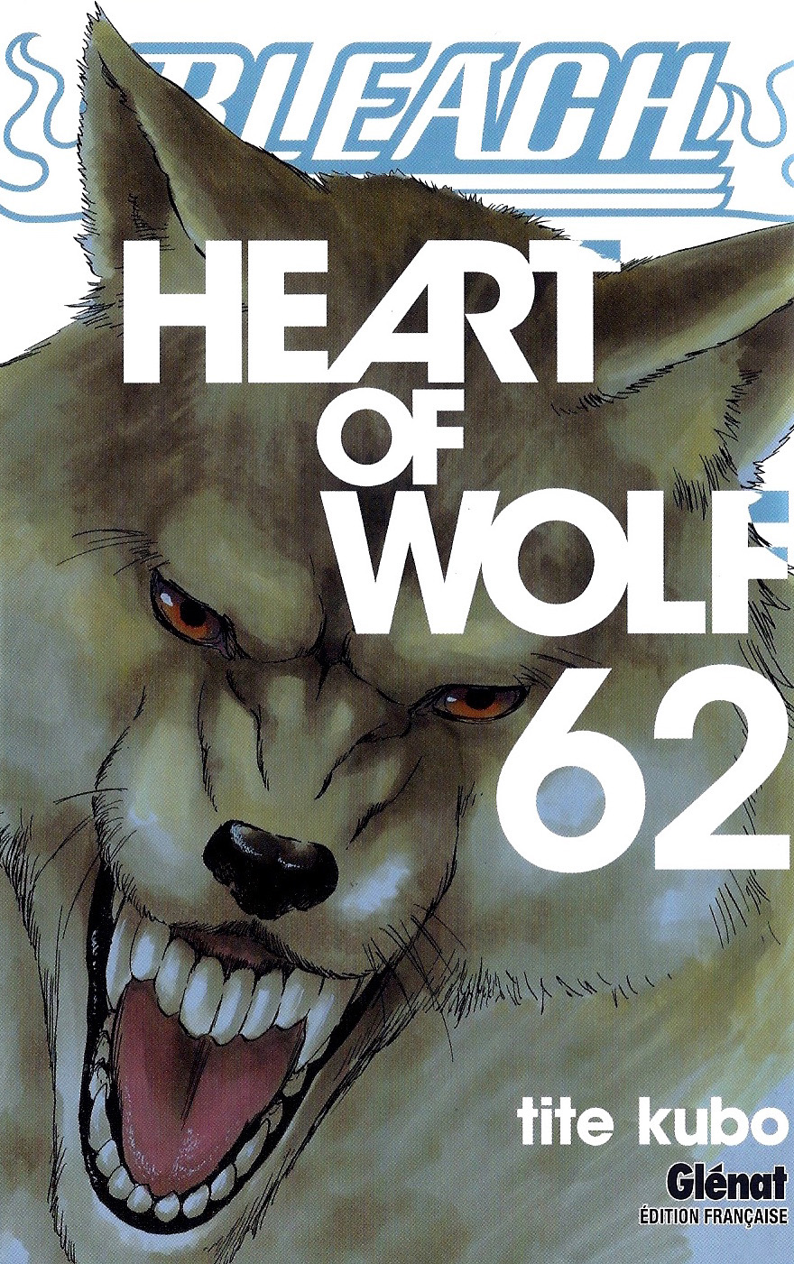 Bleach Tome 62