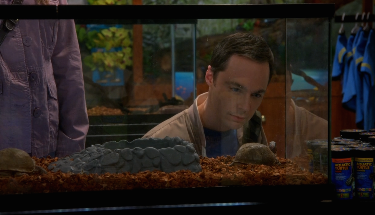 The Big Bang Theory Saison 8 Épisode 17-2