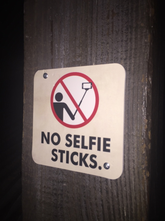 Selfie-Sticks-1