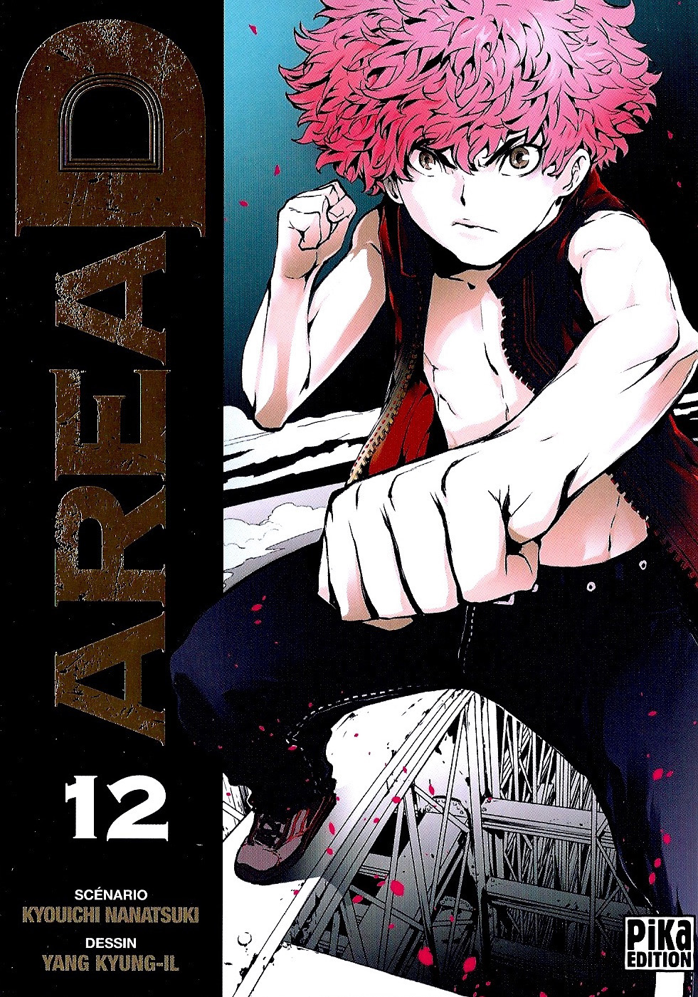 Area D Tome 12
