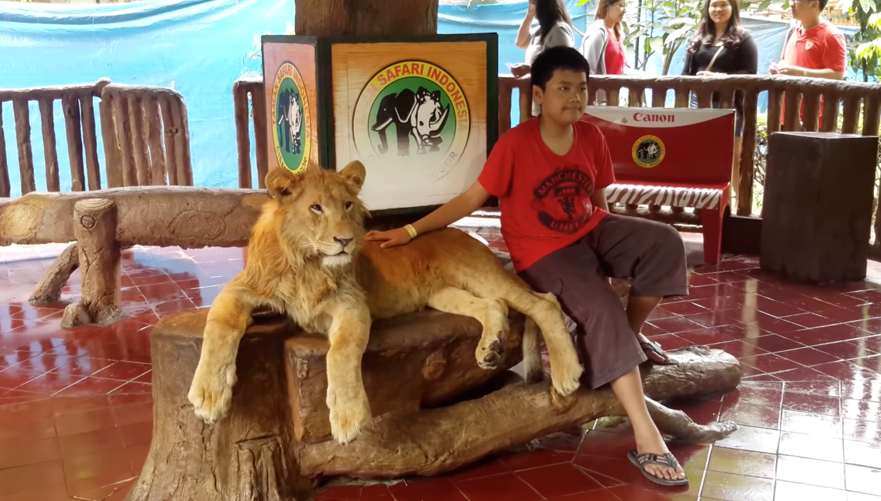 Lion-Drogue-Indonesie-4