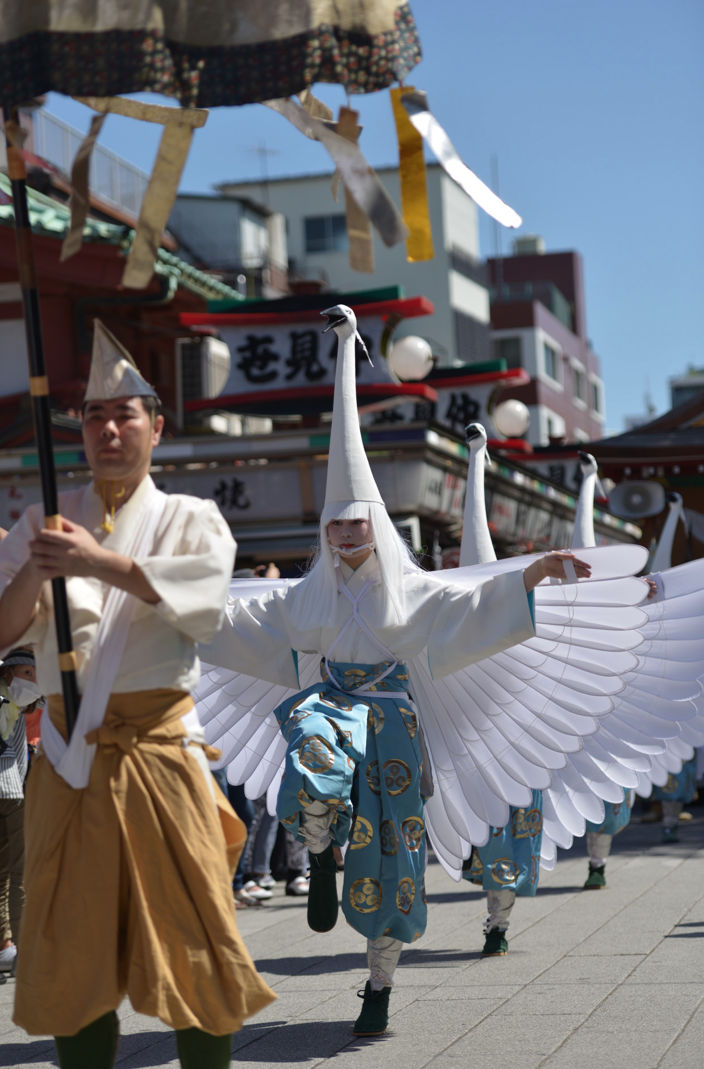 Sanja-Matsuri-11