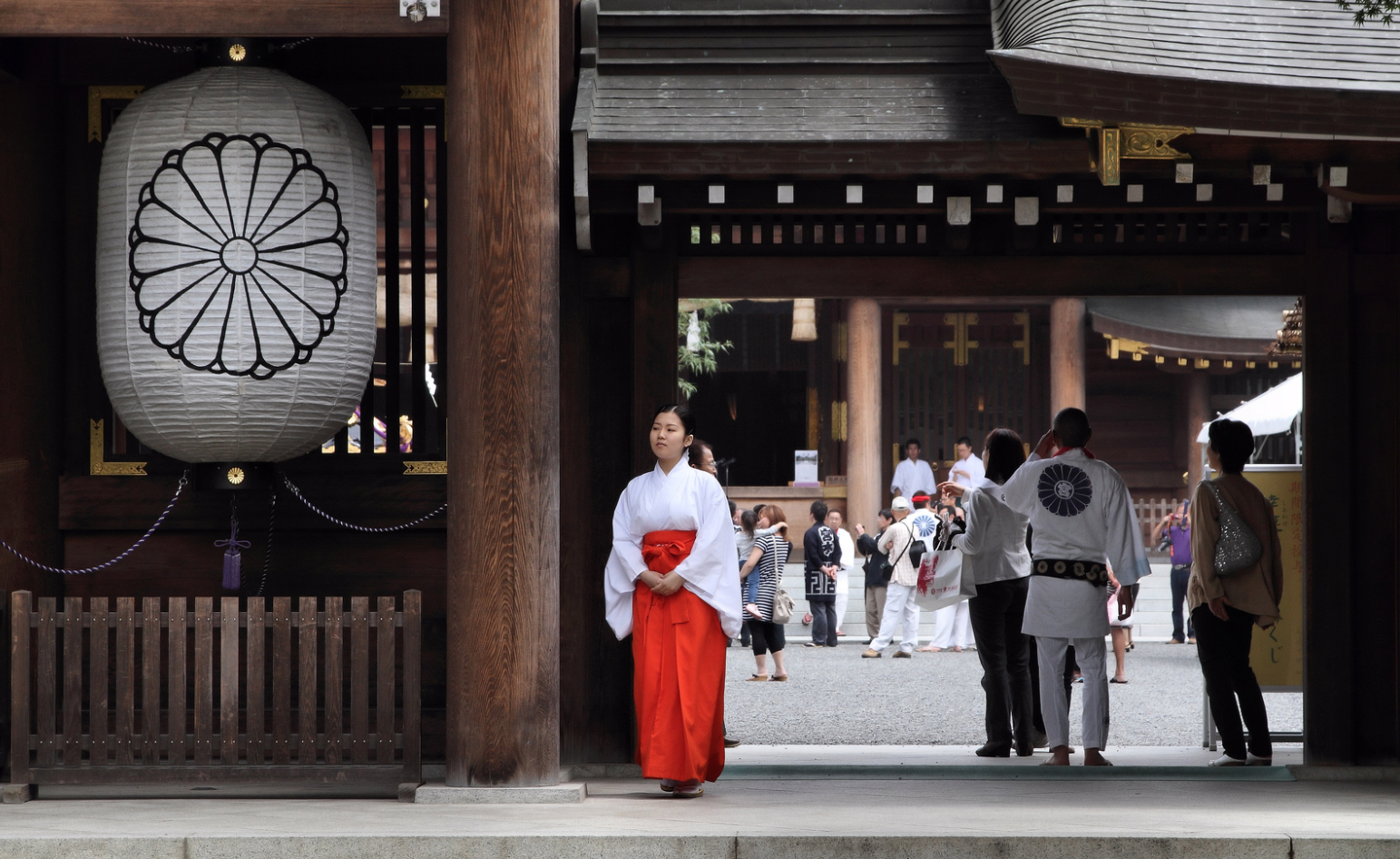 Sanja-Matsuri-22