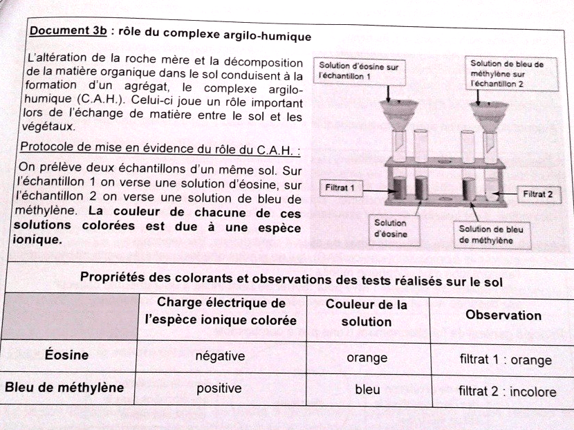 Bac-Sciences-2016-2