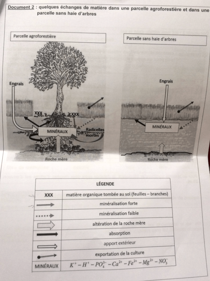 Bac-Sciences-2016-3