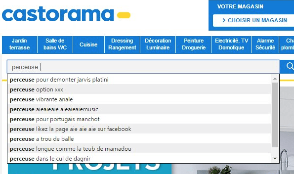 Castorama-Moteur-Recherche-2