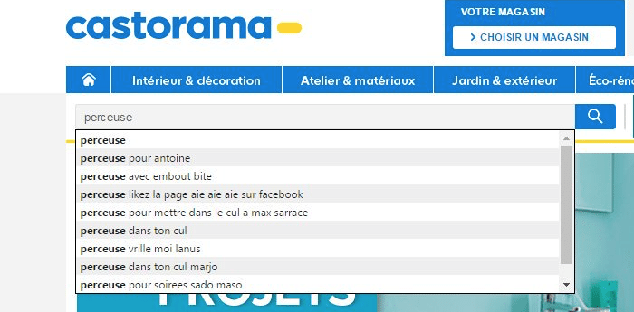 Castorama-Moteur-Recherche-3