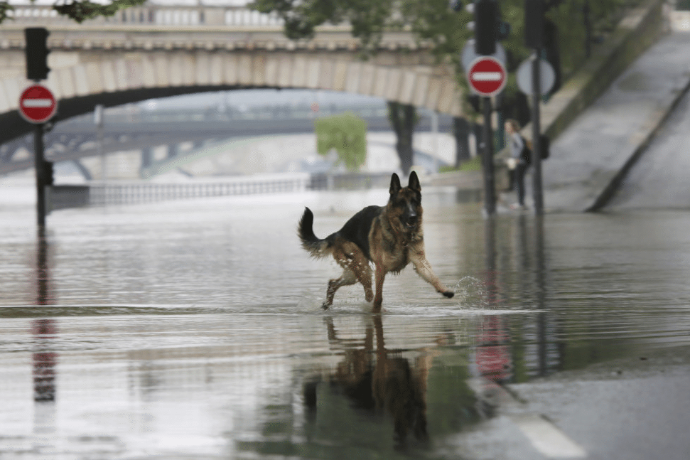 Crue-Paris-2016-4