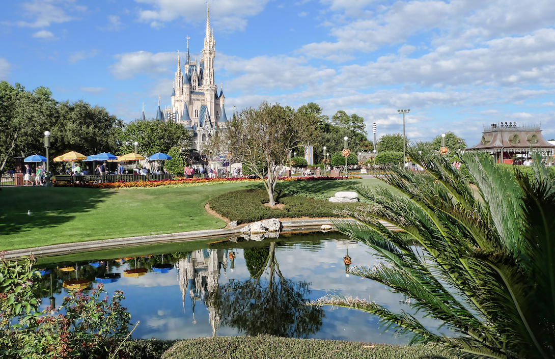 Disney-World-Floride-Alligator-Enfant-4