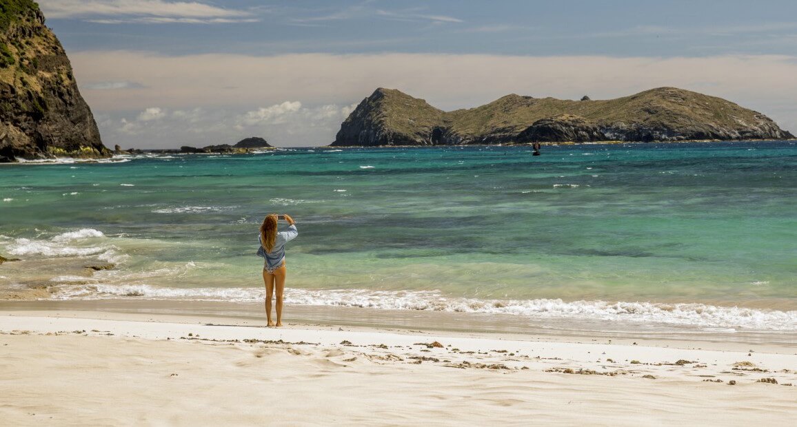 Instinct-Survie-Review-4