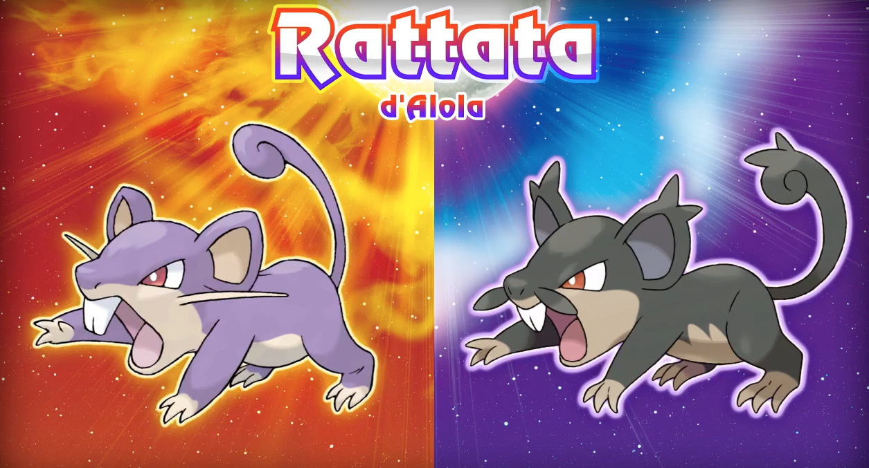 Pokemon-Soleil-Lune-Rattata-Alola