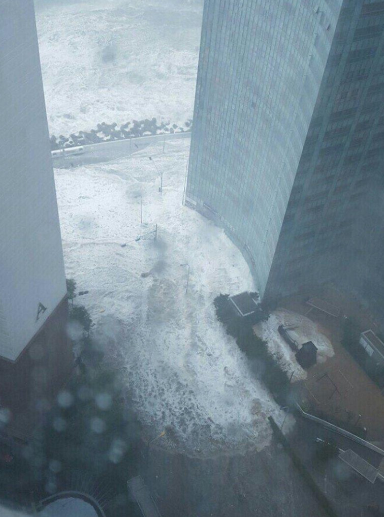 tsunami-busan-1