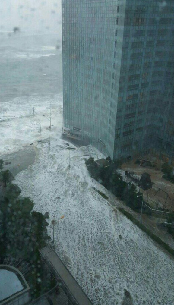 tsunami-busan-2