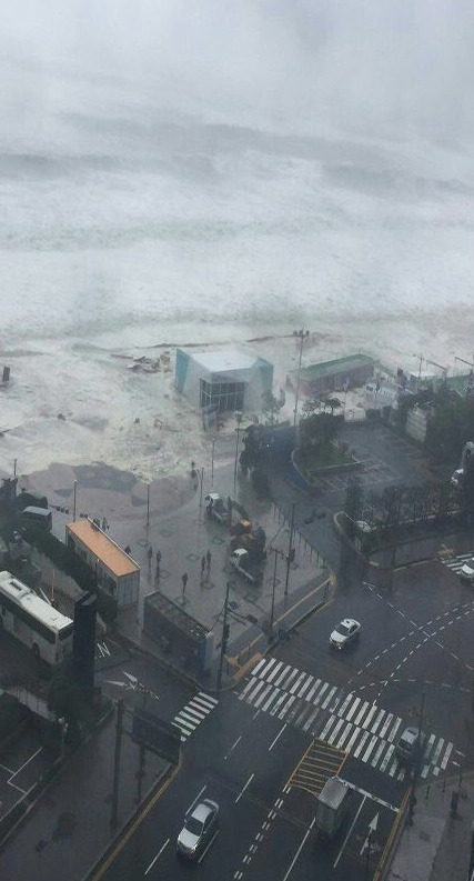 tsunami-busan-5
